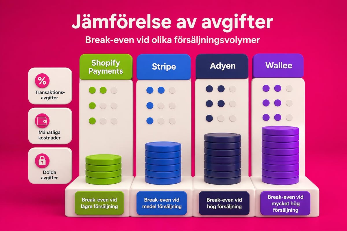 Kostnadsanalys betalningslösningar