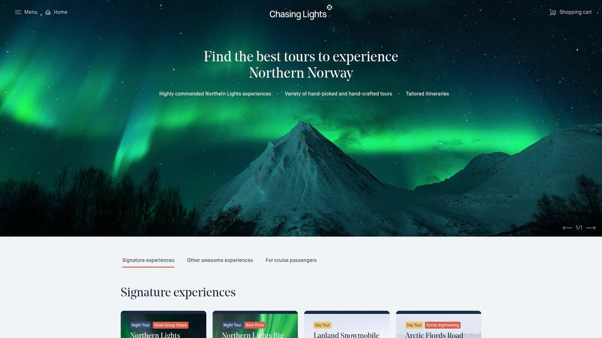9 Unforgettable Best Northern Lights Trips to Book in 2025 - Chasing Lights – Tromsø, Norway Small Group Tours