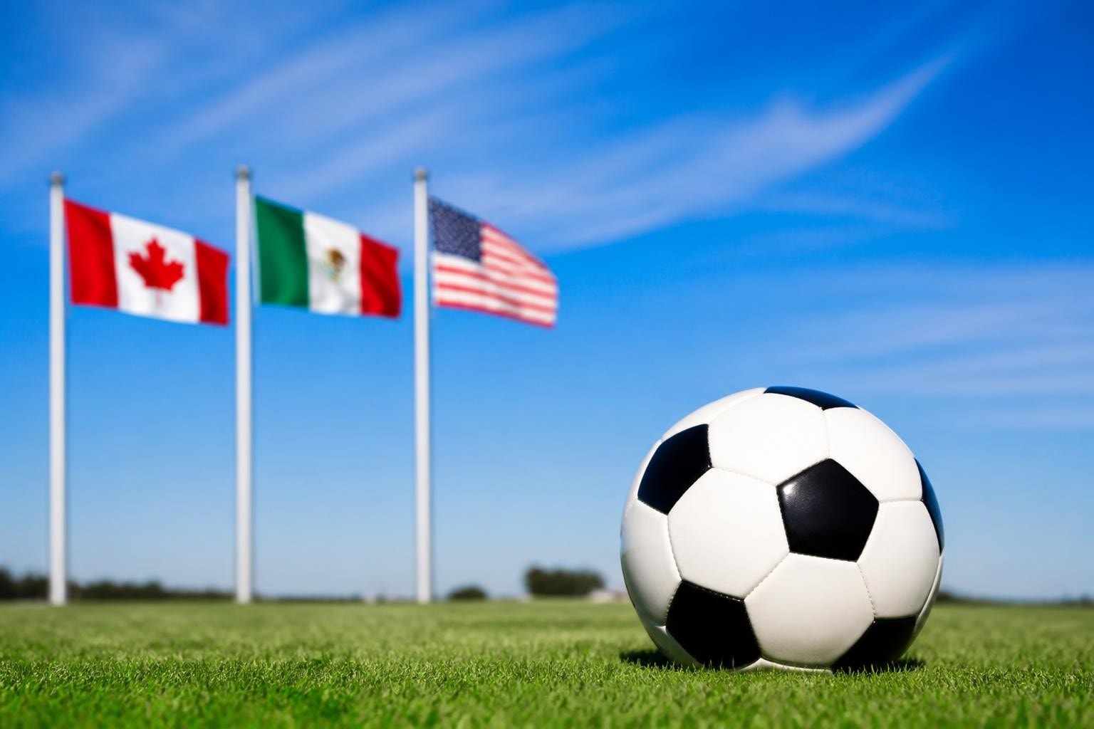 Result World Cup: Your Complete 2026 Tournament Guide