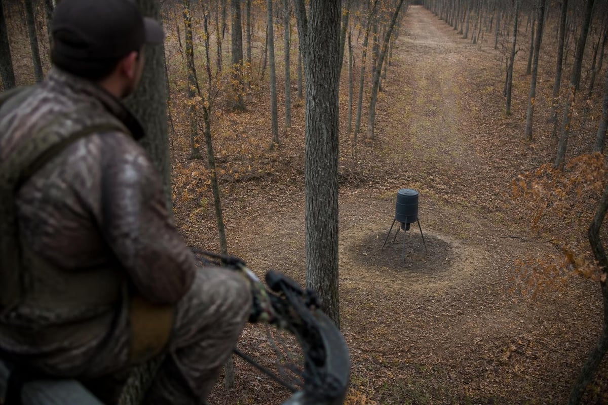 Deer attractant placement strategy