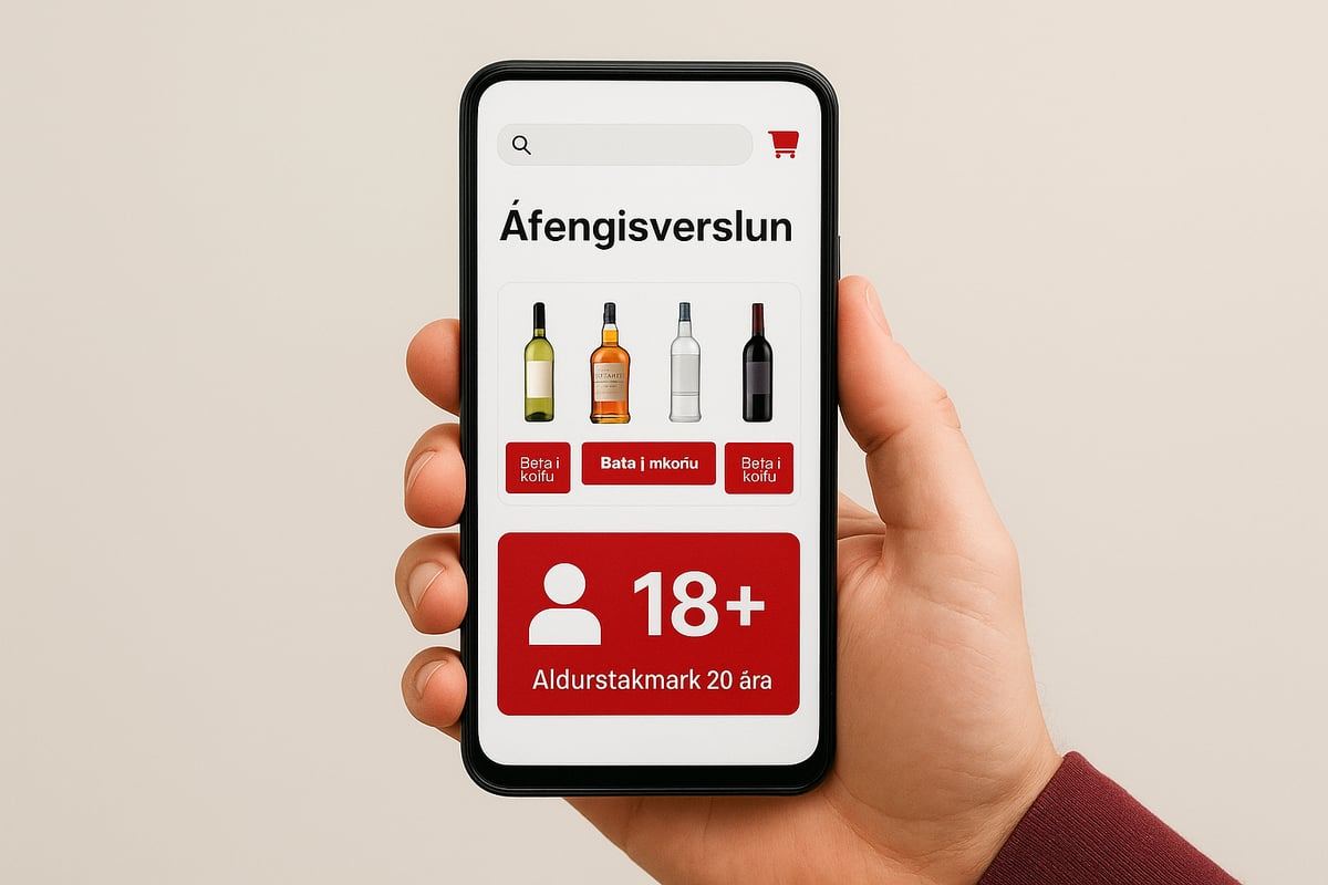 Lagarammi og reglugerðir: Hvað þarf að vita?