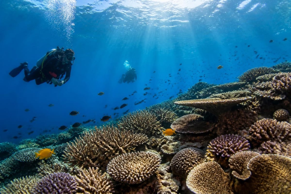 Chemical properties of seawater