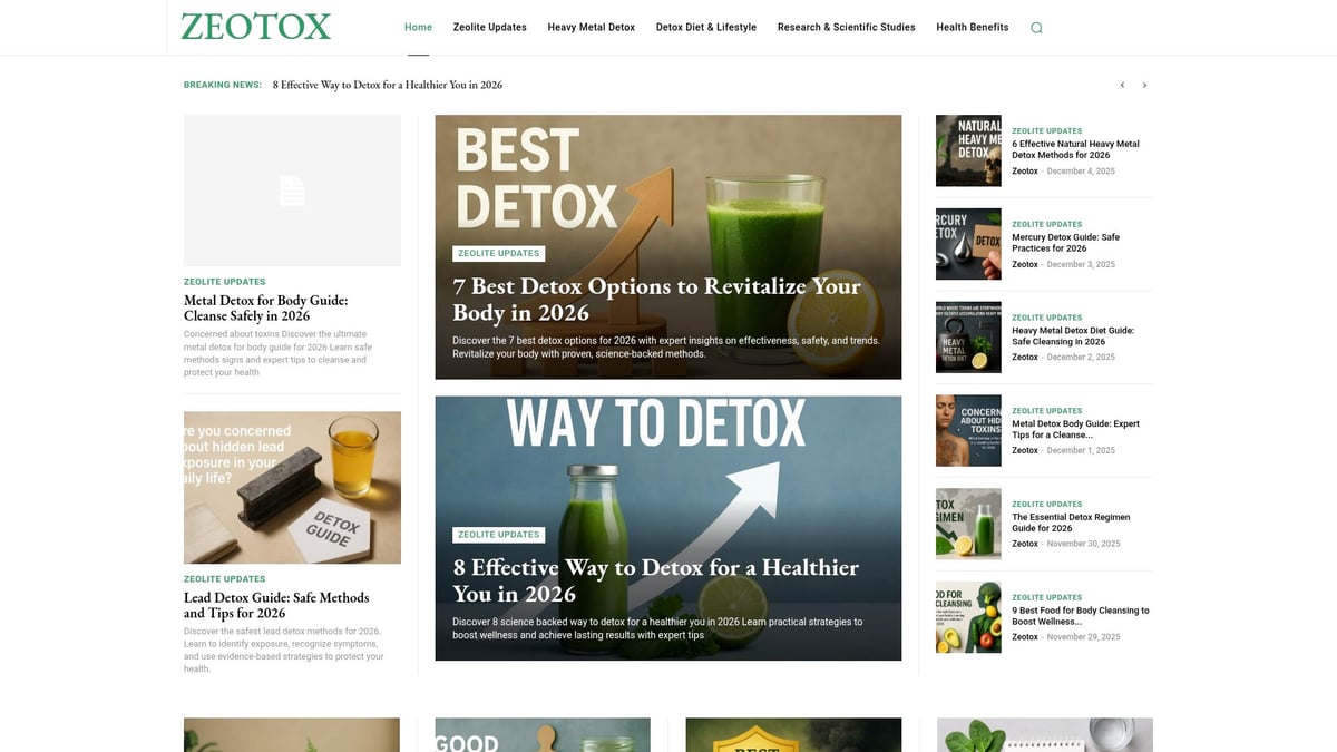 Zeolite Detox Guide: Expert Insights and Tips for 2026 - Zeotox: Your Trusted Resource for Zeolite Detox Guidance