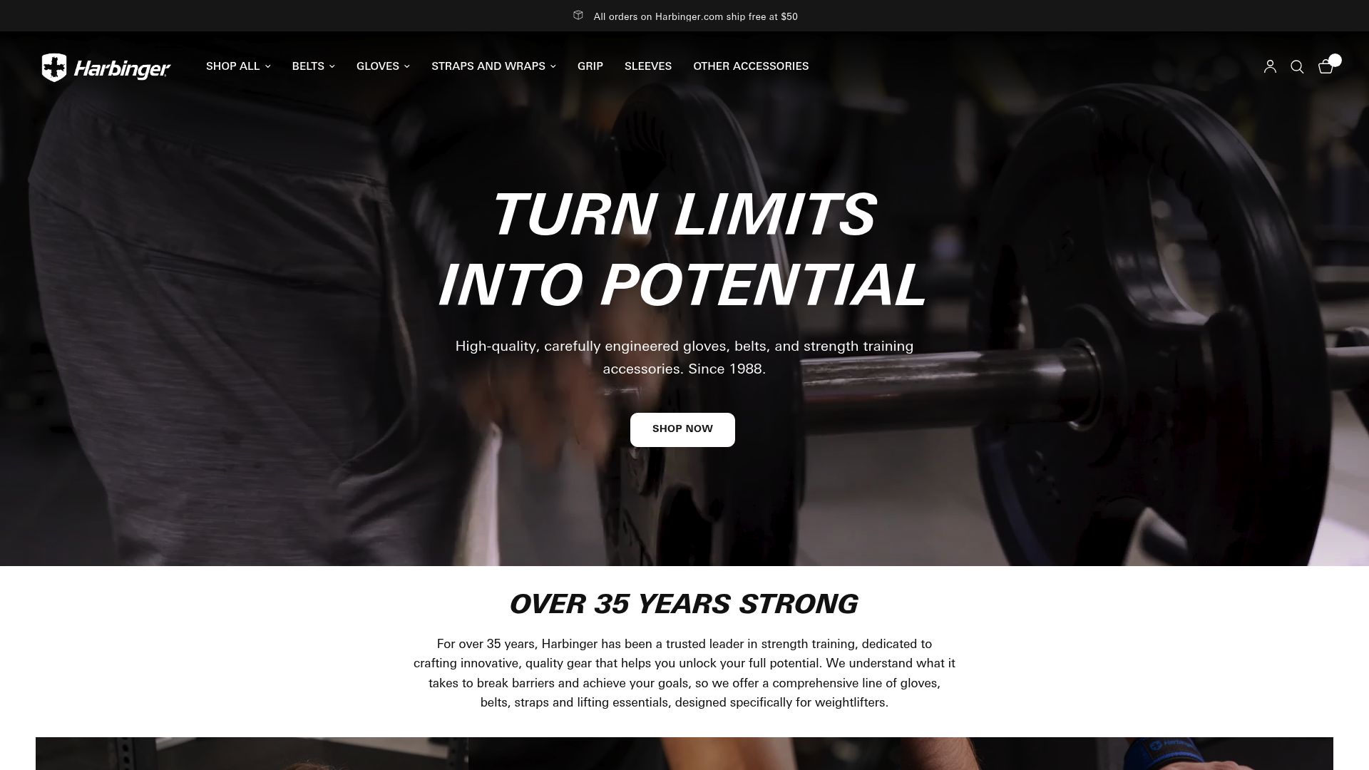 10 Essential Best Accessories For Gym In 2025 - Harbinger Lifting Straps