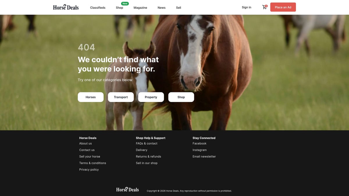 7 Essential Second Hand Saddles Australia Picks for 2026 - Stubben Roxane S Jump Saddle – Horse Deals