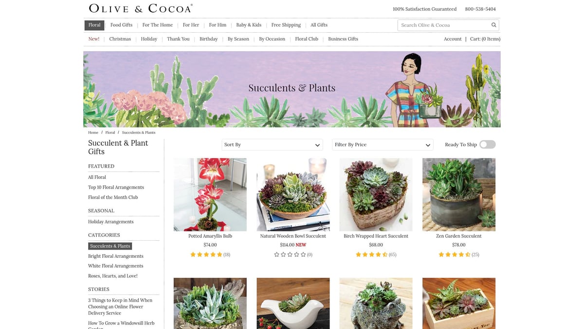 10 Creative Corporate Gifts Ideas for 2025 Success - Succulent and Plant Gifts – Olive & Cocoa