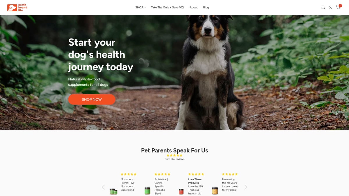 7 Essential Immune System Supplements For Dogs in 2026 - North Hound Life Mushroom Power