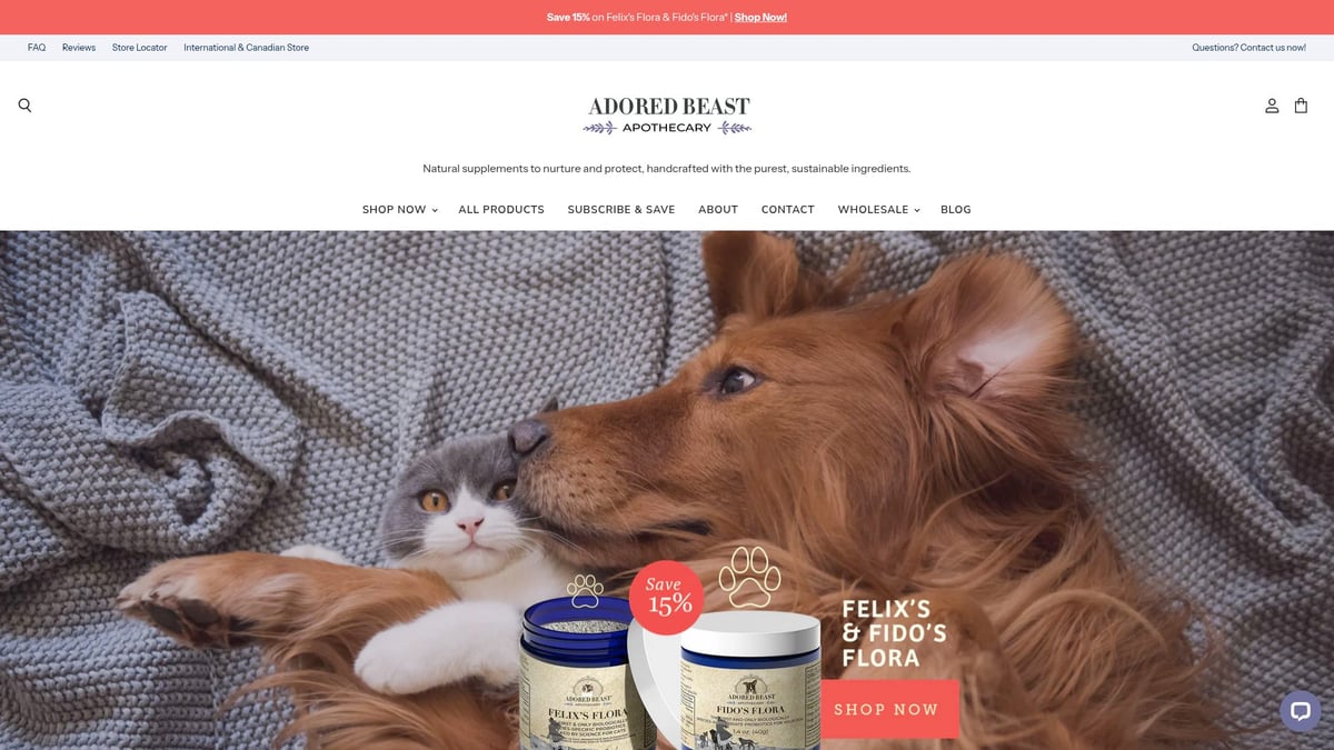 7 Essential Immune System Supplements For Dogs in 2026 - Adored Beast Apothecary Phyto Synergy