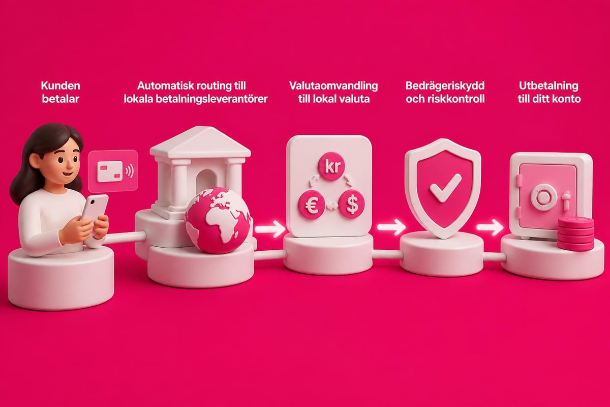 Shopify Payments Markets: Guide för svenska e-handlare 2 Shopify Payments Markets workflow