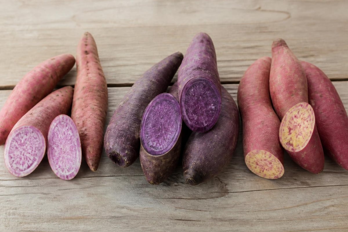 Purple sweet potato varieties