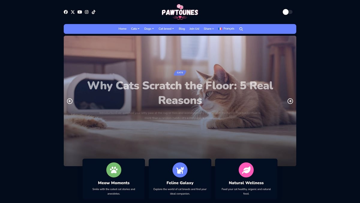 Pawtounes - Chats Chatons : Guide Complet Pour 2026 - Chats Chatons : Guide Complet Pour 2026 - Pawtounes : Votre allié pour des conseils et une communauté passionnée
