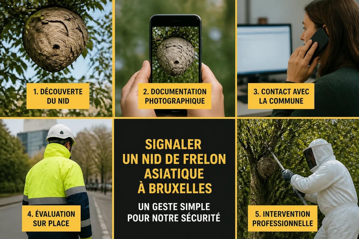 Procédure de signalement