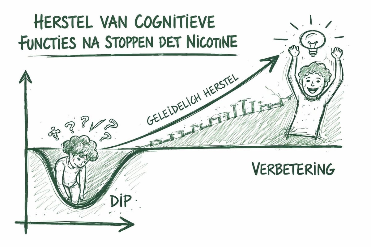 Concentratieherstel tijdlijn