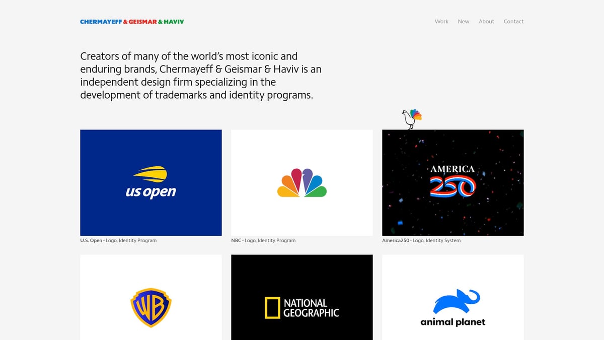 Top 12 Companies Design Trends to Watch in 2025 - Chermayeff & Geismar & Haviv