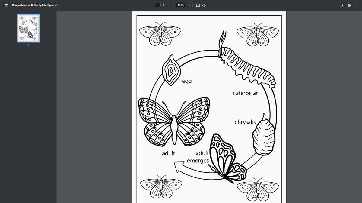 8 Best Coloring Printable Butterfly Sheets for 2026 - Monday Mandala – Butterfly Life Cycle Coloring Page