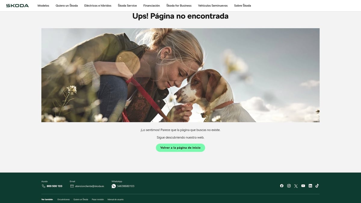 10 лучших экономичных автомобилей для экономии в 2026 году - Skoda Octavia 2.0 TDI 2026