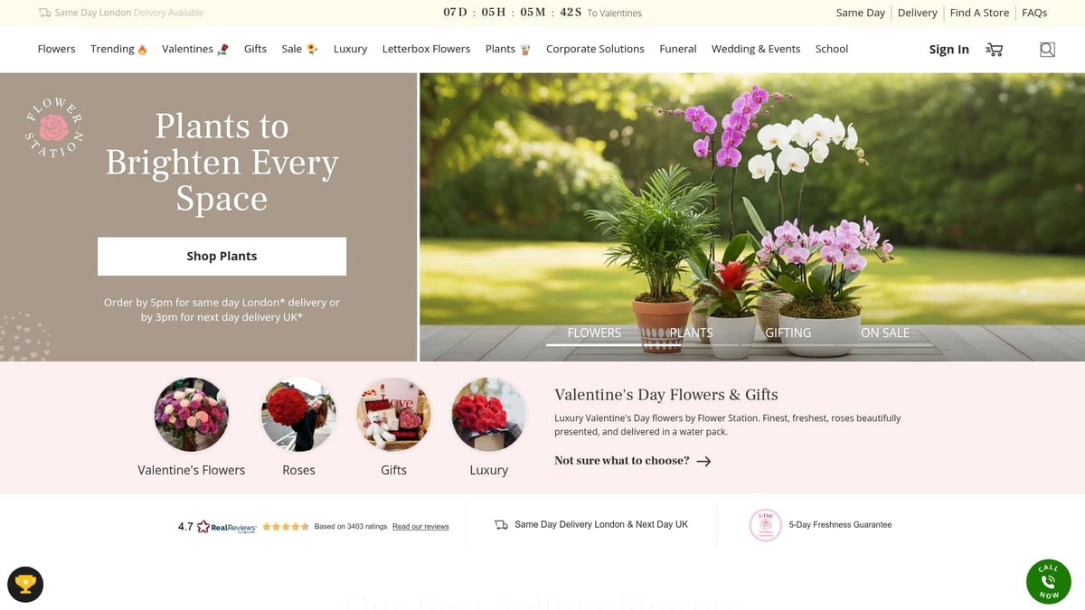7 Amazing Roses Delivered London Services to Try in 2026 - Flower Station