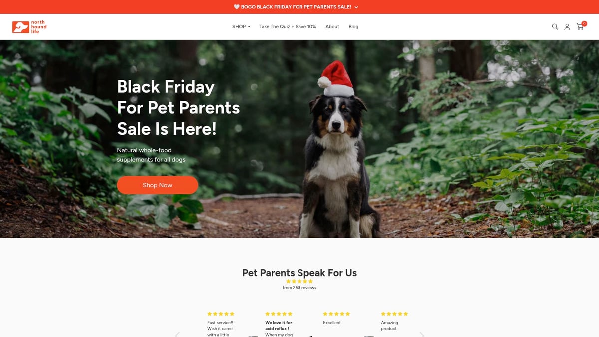 Animal Wellness Veterinary Clinic Guide: Your 2026 Companion - North Hound Life: Enhancing Canine Wellness with Whole-Food Supplements