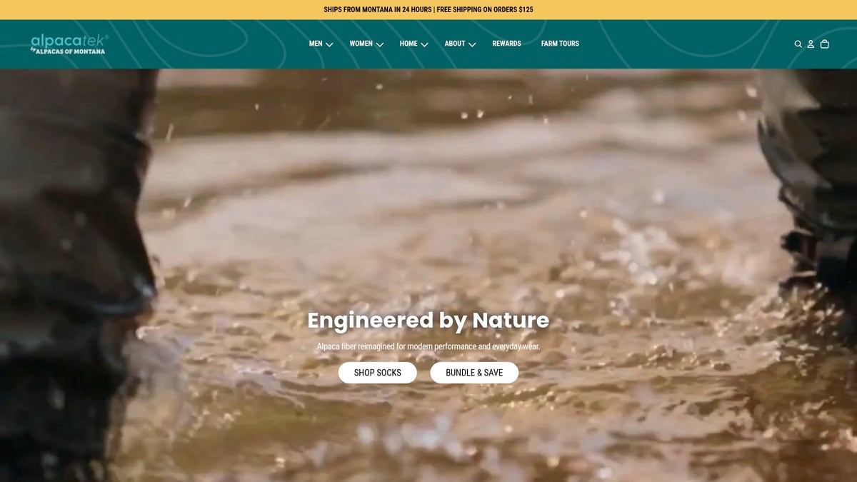 9 Best Alpaca Performance Socks for Ultimate Comfort 2025 - Alpacas of Montana Technical Socks