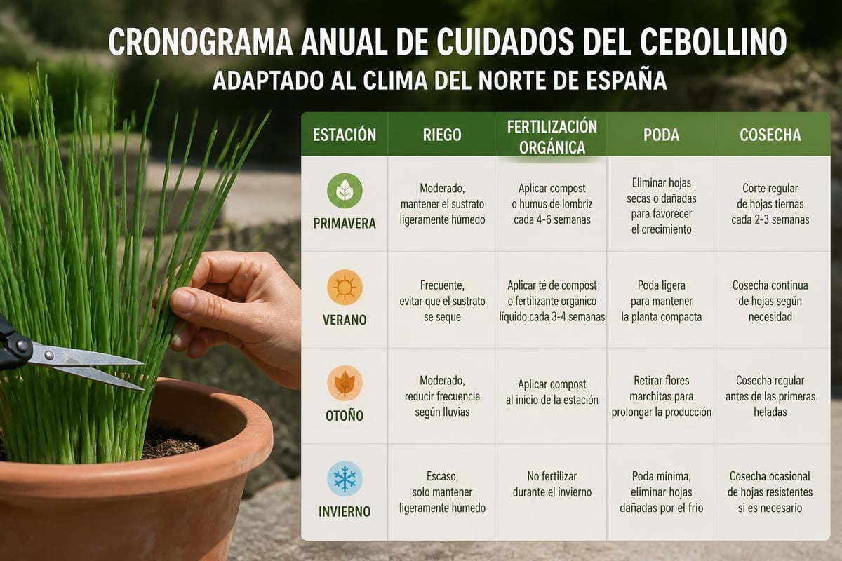 Calendario de mantenimiento del cebollino