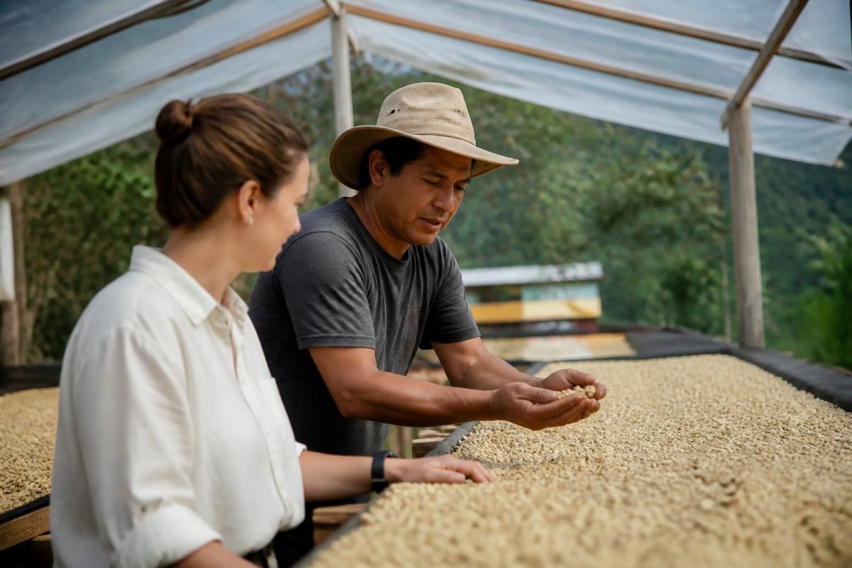Origin traceability in specialty coffee