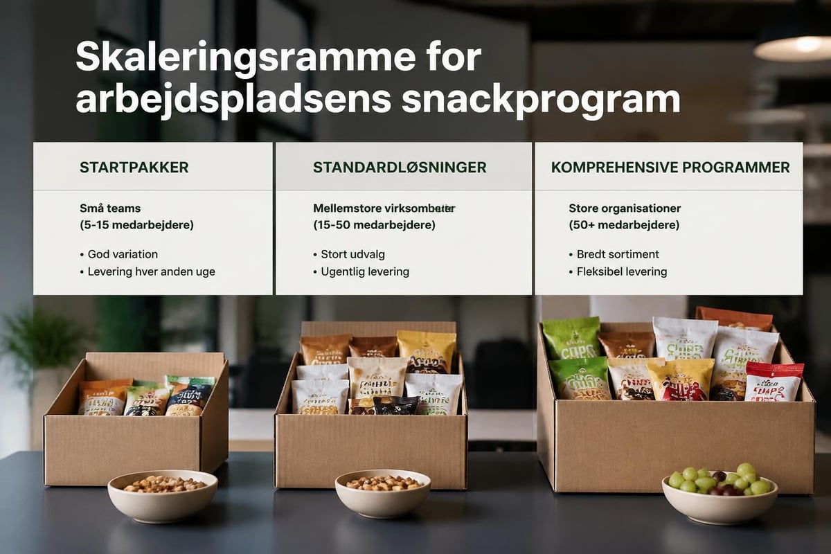 Skaleringsmodel for snackprogrammer