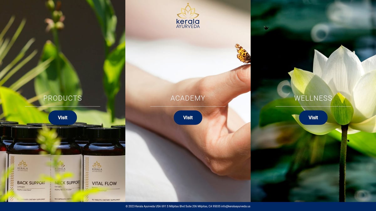 9 Essential Holistic Healing Online Courses to Transform 2025 - Ayurveda Health Counselor Program – Kerala Ayurveda Academy