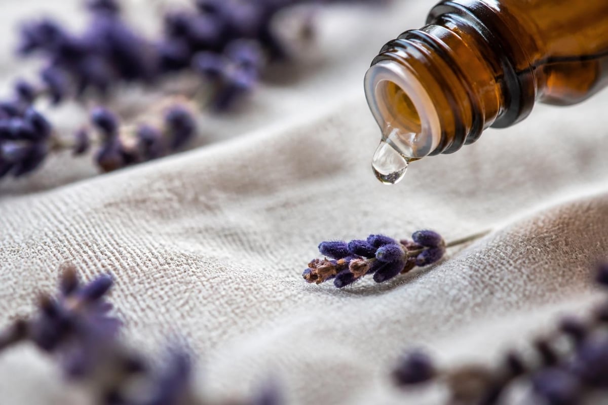 Lavender oil antibacterial action