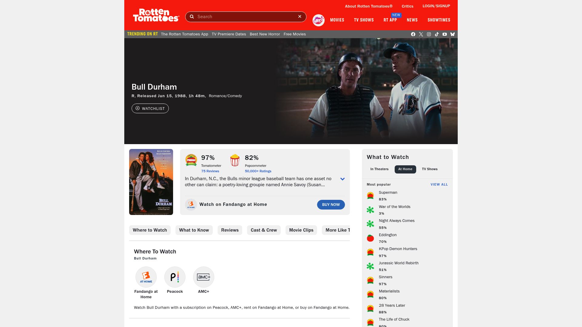12 Best Movies on Tubi to Watch in 2025 - Bull Durham