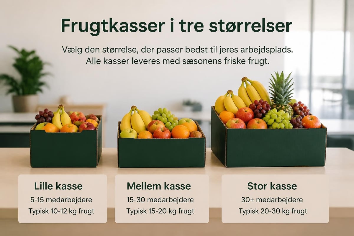 Frugtkasse dimensioner