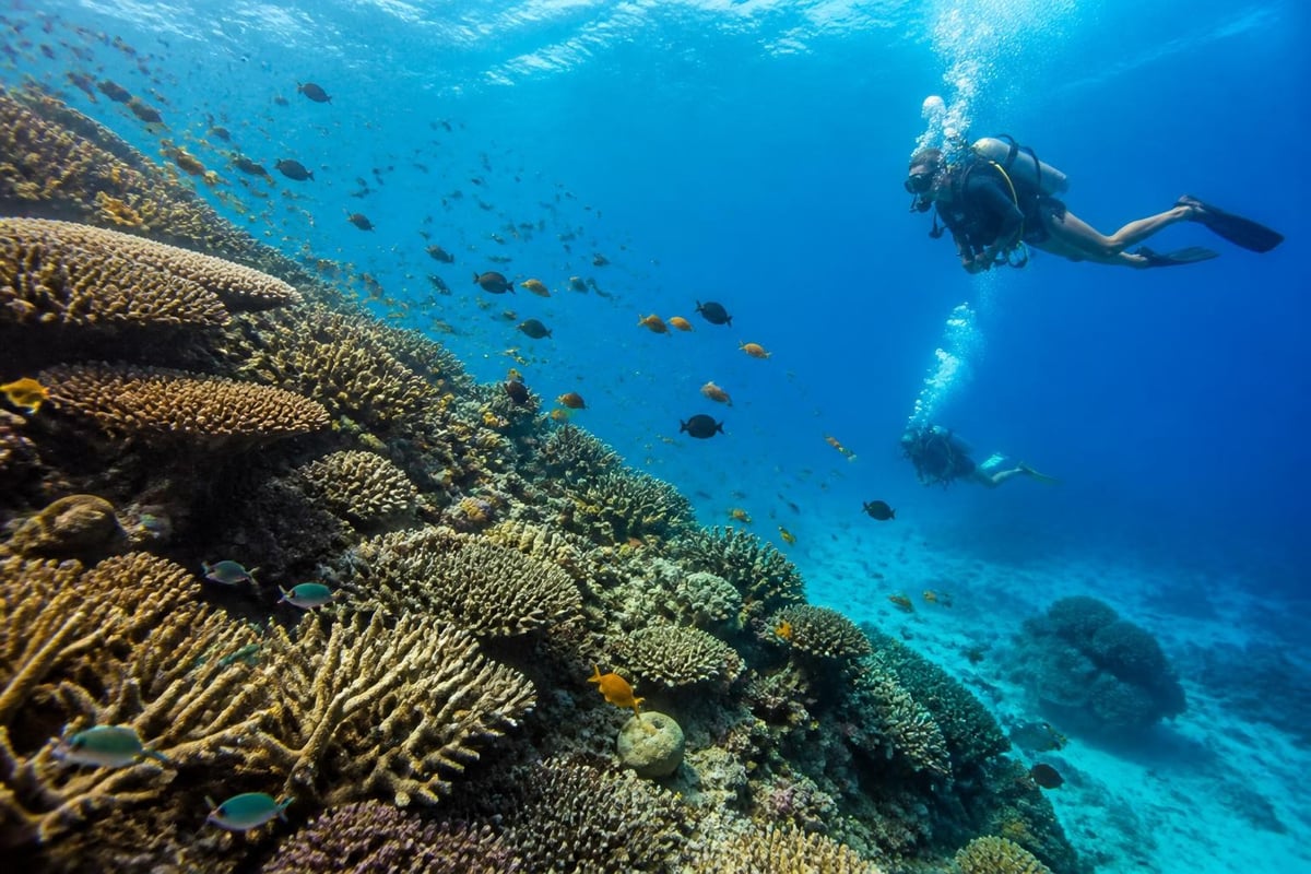 Marine biodiversity indicators
