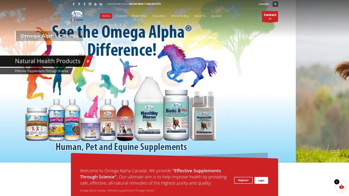 7 Essential Good Joint Supplements For Dogs in 2026 - Omega Alpha GlucosaPet