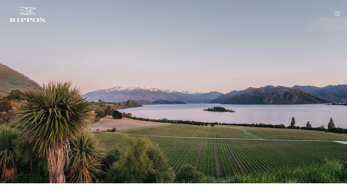Discover 9 Picks for the Best Pinot Noir Wine in 2026 - Rippon Tinker’s Field Pinot Noir (Central Otago)