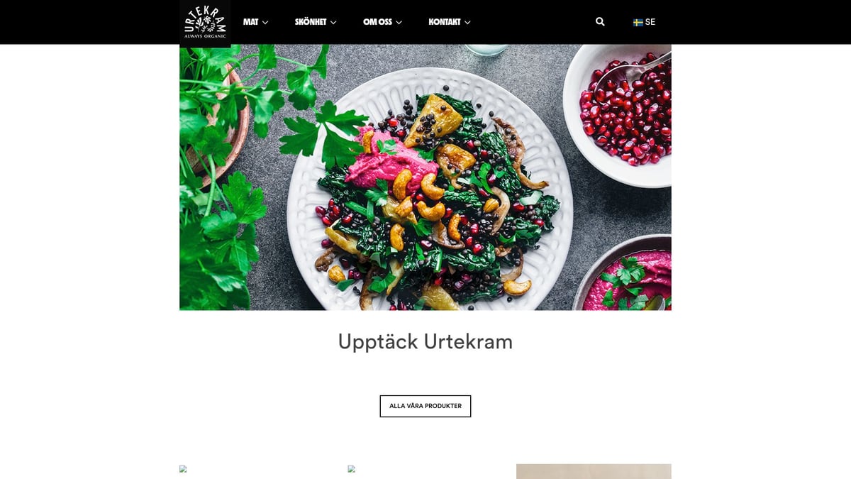 7 Bästa Schampo Och Balsam Ekologisk Alternativen 2026 - Urtekram Nordic Berries