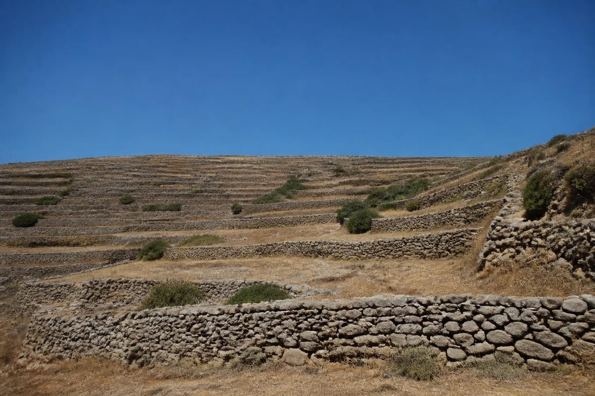 Folegandros terraced landscape