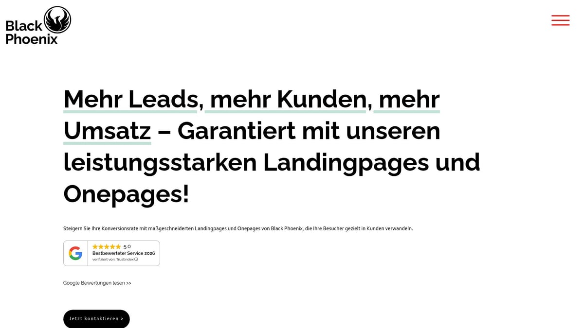 Aufbau Landingpage Guide 2026: Ihr Erfolgsfahrplan - Black Phoenix: Professionelle Unterstützung für Ihre Landingpage