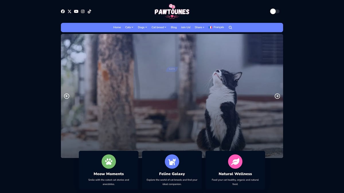 Pawtounes - Guide Complet du Chaton Tigré et Blanc en 2026 - Guide Complet du Chaton Tigré et Blanc en 2026 - Découvrir Pawtounes : la plateforme des amoureux de chats