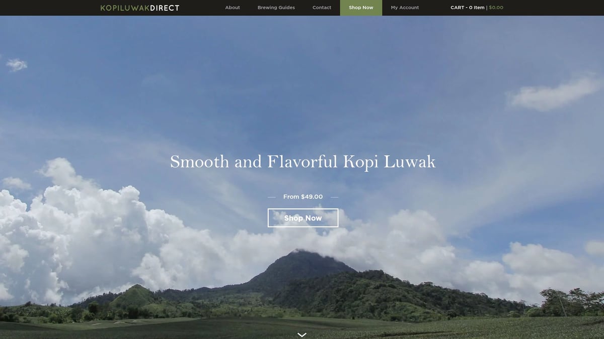 9 Best Luxury Coffee Brands to Savor in 2026 - Kopi Luwak Direct