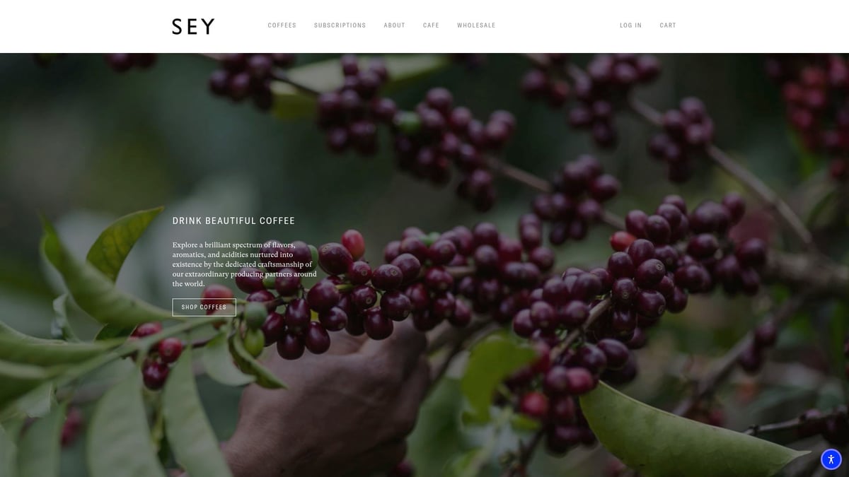 9 Best Luxury Coffee Brands to Savor in 2026 - Sey Coffee