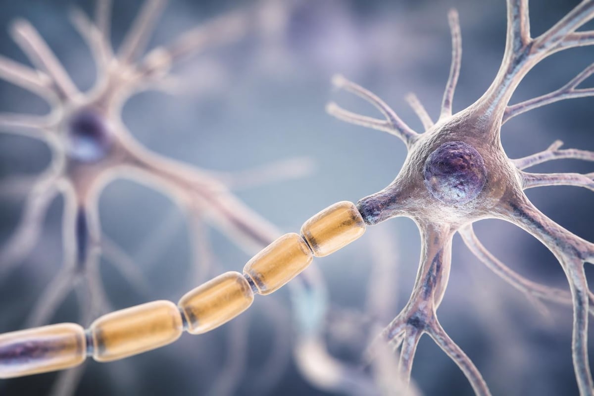 Neurological pathways affected by B12