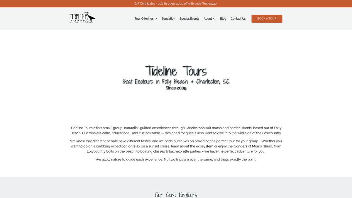 7 Amazing Sunset Boat Tour Charleston SC Experiences for 2026 - Tideline Tours – Intimate Sunset Dolphin Cruise