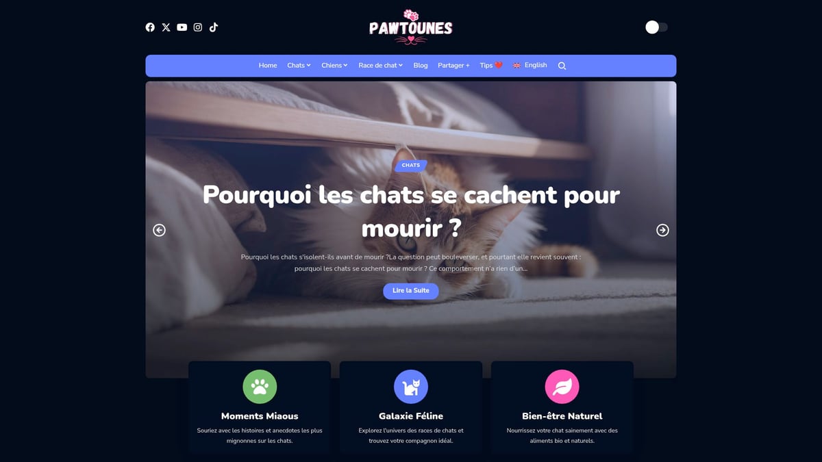 Pawtounes - Guide Complet sur le Son du Chat : Comprendre en 2025 - Guide Complet sur le Son du Chat : Comprendre en 2025 - Découvrir plus de conseils et d’anecdotes sur le comportement félin avec Pawtounes