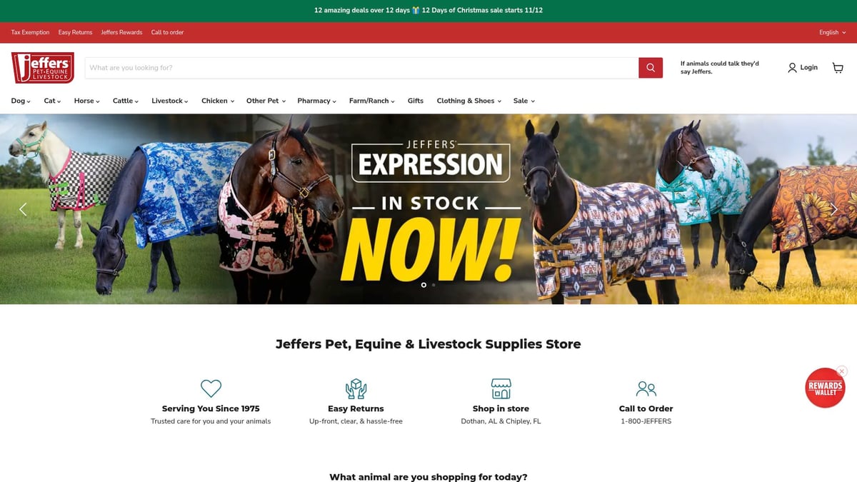 9 Essential Horse Supplies Every Owner Needs in 2025 - First Aid Kits for Horses