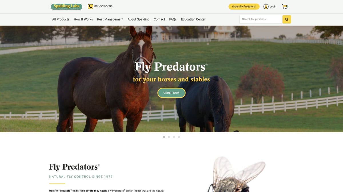 9 Essential Horse Supplies Every Owner Needs in 2025 - Fly Control Solutions