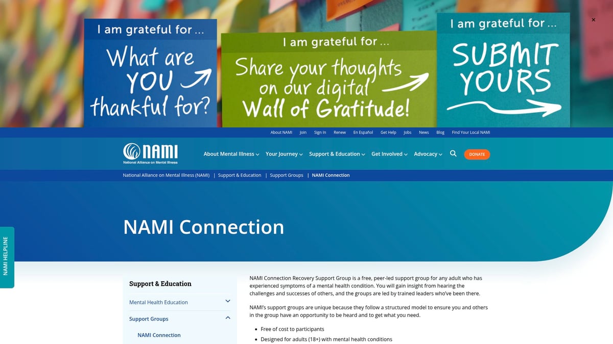 Top 8 Resources Mental Health Experts Recommend in 2025 - National Alliance on Mental Illness (NAMI) Support Groups
