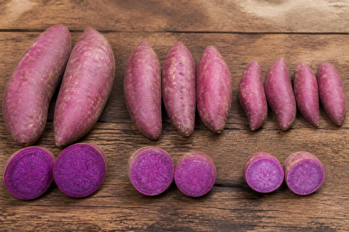 Purple sweet potato varieties comparison
