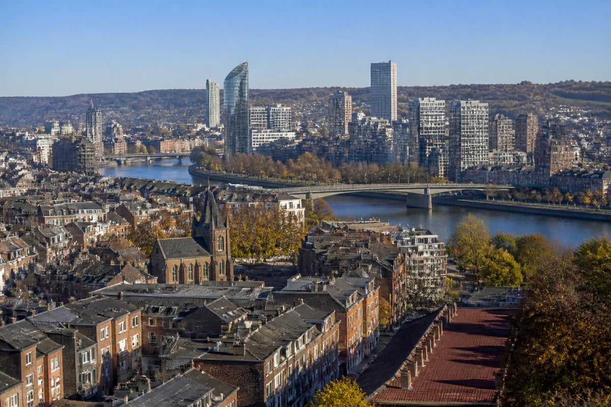 Quartiers de Liège et profils d'acheteurs