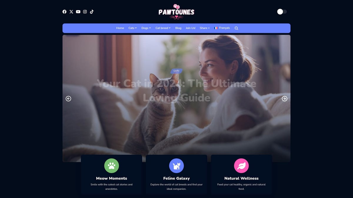 Pawtounes - Guide 2026 : Les Yeux du Chat et Leurs Mystères Révélés - Guide 2026 : Les Yeux du Chat et Leurs Mystères Révélés - Découvrir plus de conseils félins sur Pawtounes