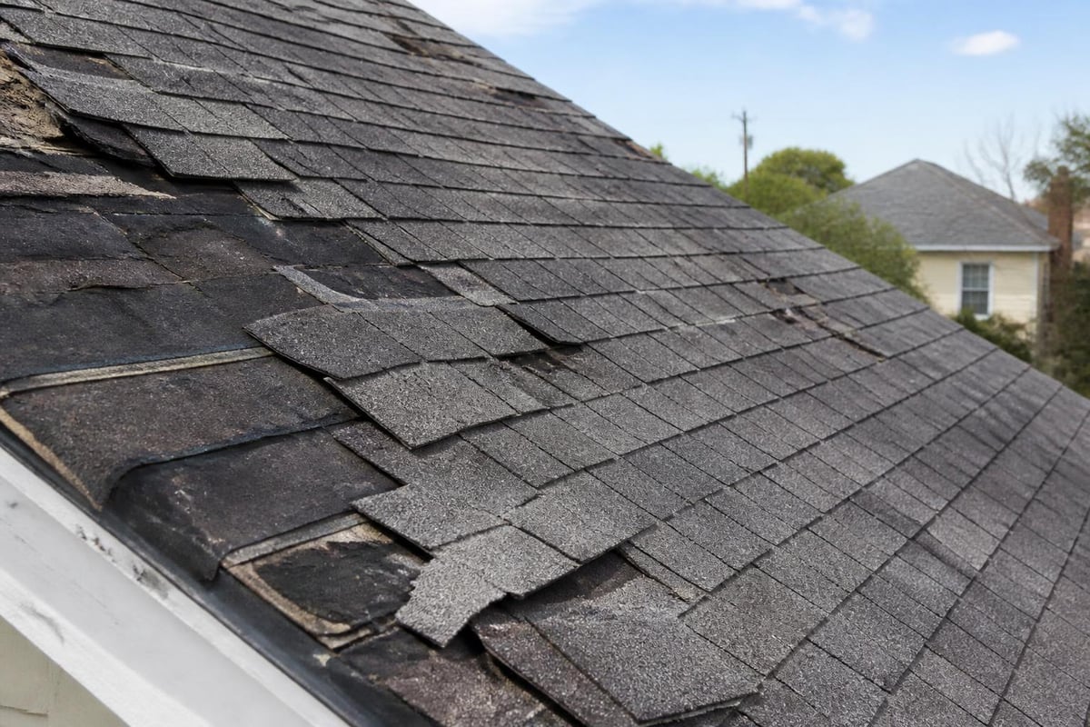 Wind damage patterns on coastal roofs