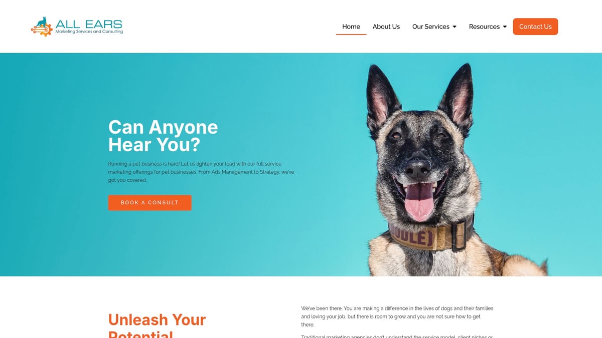 7 Best Marketing Companies for Small Businesses in 2026 - All Ears Digital